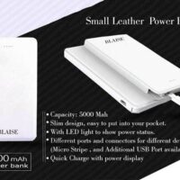 Small Leather Power Bank