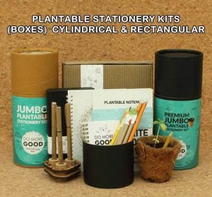 Read more about the article Top 4 Eco Friendly Corporate Gifts Ideas That are more Sustainable Than Regular Gifts.