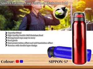 Insulated Flask
