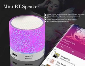 Mini VT Speaker