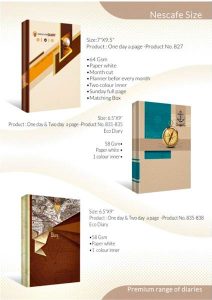 New Year Diary