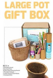 Eco Seed Pot Gift Box
