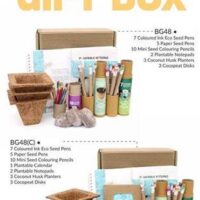 Square Pot Gift Box