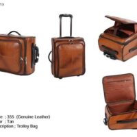 Leather Finish Trolley Bag