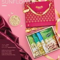 Happilo Dry Fruit Packing Box