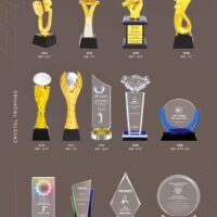 Customized Trophies