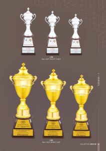 Trophy Manufacturers In Delhi